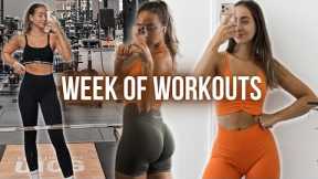 FULL WEEK OF WORKOUTS - Gym Workouts (MCI App), Boxen & Pilates // annrahel