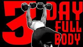 3 Day Full Body Training Routine!