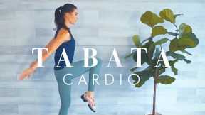 Tabata Workout for Beginners & Seniors // Cardio & Tone Pilates inspired Exercises