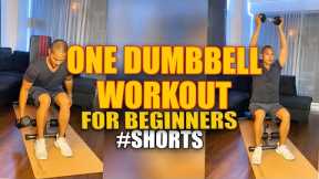 One Dumbbell Only Seated Workout for Beginners