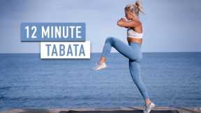 INTENSE NO REPEAT 12 Minute - TABATA MIX - No Equipment Workout