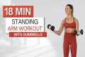 18 min STANDING ARM WORKOUT | With