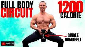 Full Body SINGLE DUMBBELL Workout || Bone & Muscle Development - 1200 cals by @CoachAli