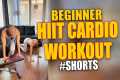 Beginner HIIT Cardio Workout
