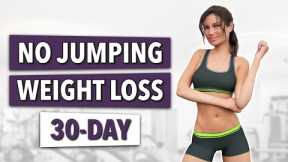 30-Day No-Jumping Workout for Easy Weight Loss at Home