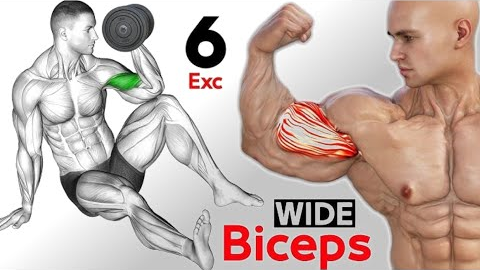 GET BIG ARMS AT HOME - The Best Dumbbell Bicep Workout