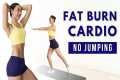 25 MIN FULL BODY CARDIO WORKOUT 🔥