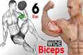 GET BIG ARMS AT HOME - The Best