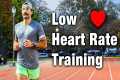 I Tried Zone 2 Training for 3 Months. 