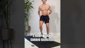 5 Bodyweight Cardio Exercises! 💥😅👊