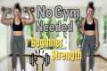 Beginner Strength Workout at Home |