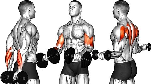 5 Minutes - Arm Workout With Dumbbells Only (Get Bigger Arms)