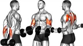 5 Minutes - Arm Workout With Dumbbells Only (Get Bigger Arms)