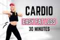 🔥30 Min CARDIO FAT BURN🔥14 Days